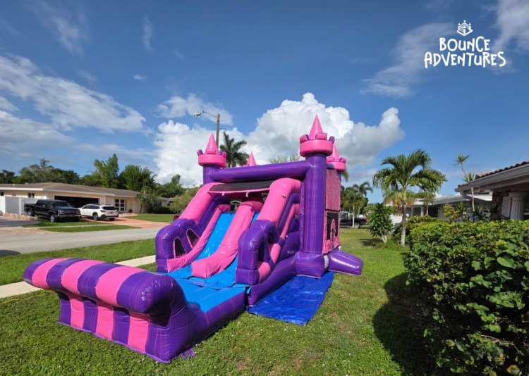 25ft Pink and Purple
