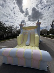 IMG 9528 1770415711 25FT COTTON CANDY