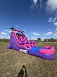 IMG 0224 1772883091 PINK ISLAND DOUBLE SPLASH